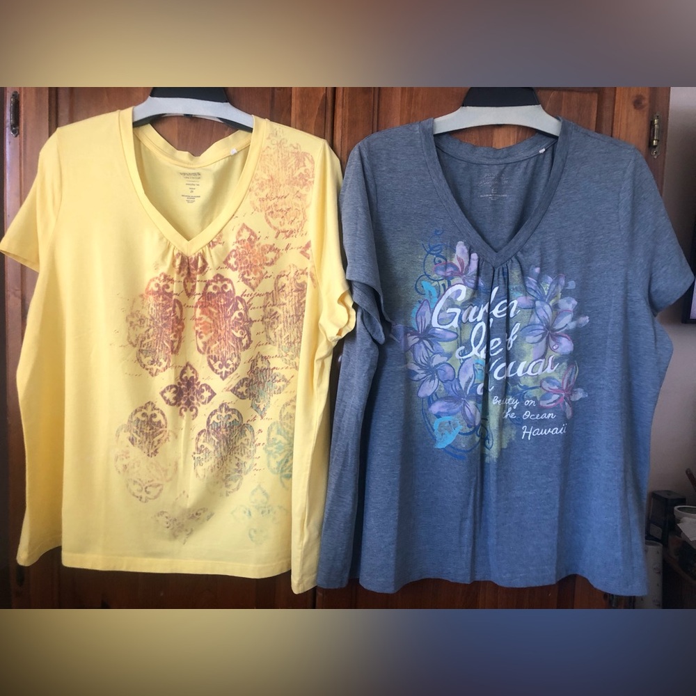 Bundle of Two (2) Sonoma Everyday Tees, Gray& Yellow, 2X